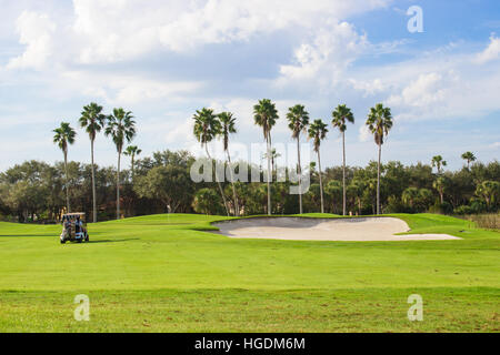 Golf-Cart auf Kurs Stockfoto