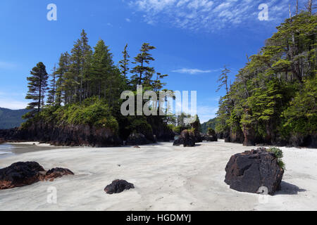 Weißer Sandstrand und felsigen Felsnadeln, San Josef Bay, Cape Scott Provincial Park, Vancouver Island, Kanada Stockfoto