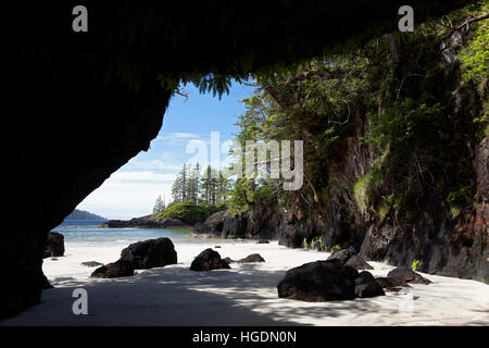 Weißer Sandstrand und felsigen Felsnadeln, umrahmt von Meer Höhle, San Josef Bay, Cape Scott Provincial Park, Vancouver Island, Kanada Stockfoto