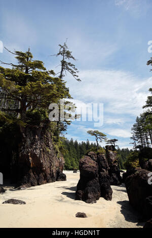 Weißer Sandstrand und felsigen Felsnadeln, San Josef Bay, Cape Scott Provincial Park, Vancouver Island, Kanada Stockfoto