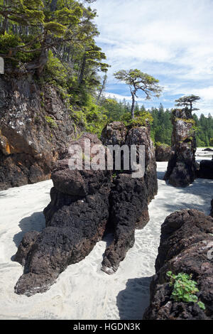 Weißer Sandstrand und felsigen Felsnadeln, San Josef Bay, Cape Scott Provincial Park, Vancouver Island, Kanada Stockfoto