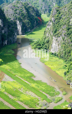 Draufsicht der Reisfelder inmitten Kalksteine aus Mua Höhlen in Tam Coc, Ninh Bình, Vietnam Stockfoto