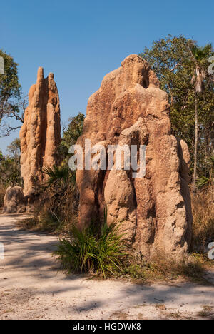 Magnetische Termitenhügel, Litchfield National Park, Australien Stockfoto