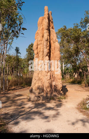 Magnetische Termitenhügel, Litchfield National Park, Australien Stockfoto