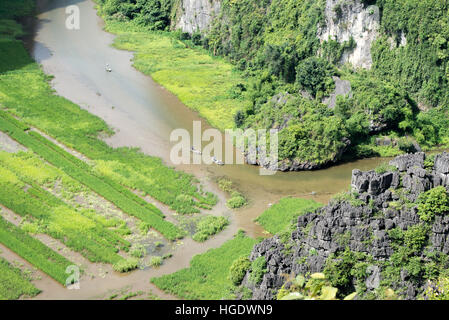 Draufsicht der Reisfelder inmitten Kalksteine aus Mua Höhlen in Tam Coc, Ninh Bình, Vietnam Stockfoto