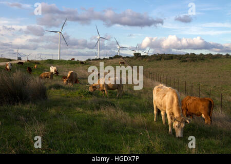 Kuh grasen auf Bauernhof Turbinen Andalusien Spanien Stromerzeugung Energie Stockfoto