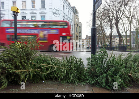 Ausrangierte Weihnachtsbäume liegend Street, London Stockfoto