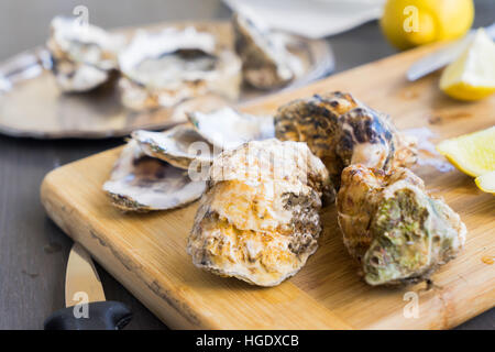 Rohe Austern Muscheln Stockfoto