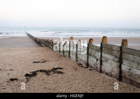 Eine hölzerne groyne in die Nordsee führenden in Blyth, northumberland Stockfoto