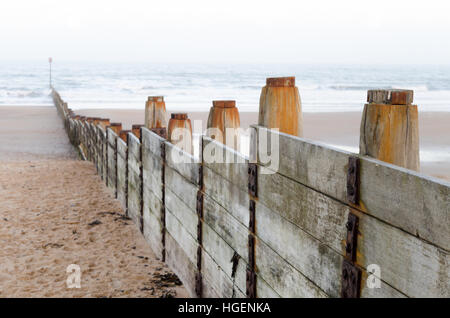 Eine hölzerne groyne in die Nordsee führenden in Blyth, northumberland Stockfoto