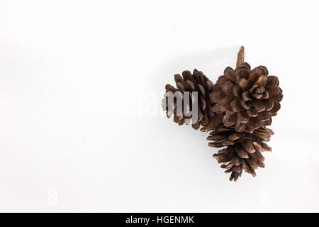 Zapfen, verschiedenen Nadelbäumen isoliert auf weiss Stockfoto
