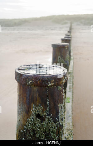 Eine hölzerne groyne in die Nordsee führenden in Blyth, northumberland Stockfoto