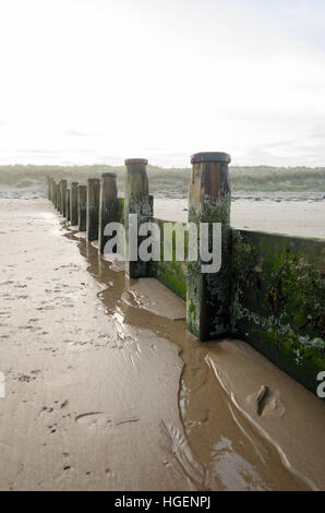 Eine hölzerne groyne in die Nordsee führenden in Blyth, northumberland Stockfoto