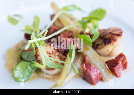 Gebratene Jakobsmuscheln und Chorizo-Wurst mit Brunnenkresse auf einem weißen Teller Stockfoto