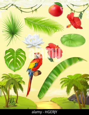 Dschungel. Palmen, Bananen, Mango, Papagei, Seerose, Hibiskus. Satz von Blättern und Blüten. Tropische Pflanzen. 3D Vektor Icon-set Stock Vektor