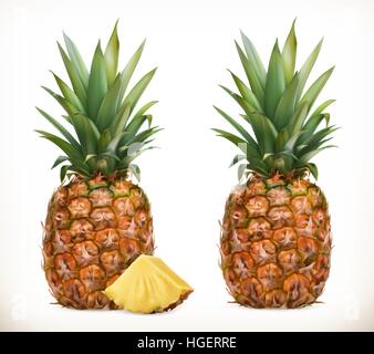 Ananas. Ganze und Teile. Süße Früchte. 3D Vektor-Icons Set. Realistische Darstellung Stock Vektor