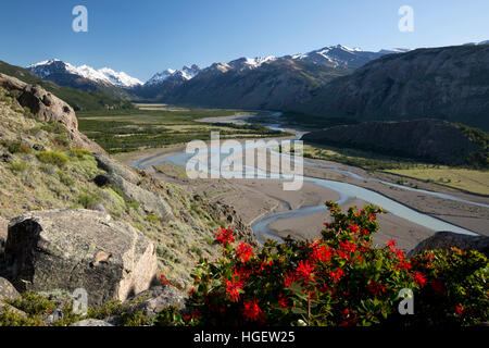 Blick vom Mirador Rio de Las Vueltas, El Chalten, Patagonien, Argentinien, Südamerika Stockfoto