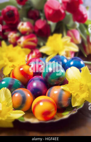 Bunte Ostereier und Blumen, Narzissen und Tulpen Stockfoto