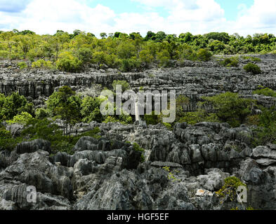 Tsingy de Ankarana Nationalpark, Karstlandschaft mit Jurassic Ära Kalkstein, Ankarana Reserve, Madagaskar Stockfoto