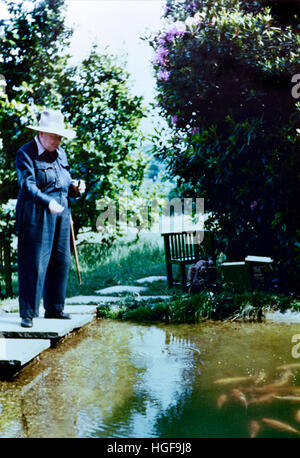 Farbfoto von Winston Churchill beim Füttern des Goldfisches in Chartwell.1950. Stockfoto