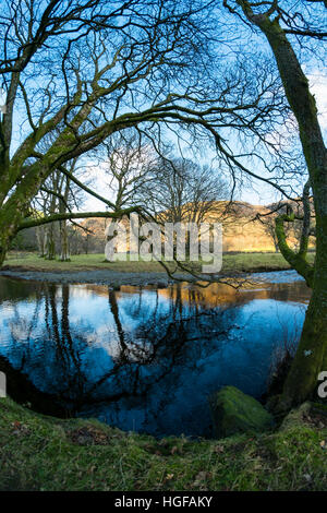 Boxing Day: 26. Dezember 2016: Fluss Eiddew und die Rhiwargor Trail, Lake Vyrnwy, Powys, Wales UK Stockfoto