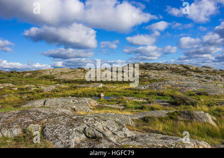 Nass und felsige Heidelandschaft in einem Naturpark in der Nähe von Varberg, Halland Grafschaft, Schweden. Felsiges Feuchtes Heideland in Einem Naturreservat Nahe Varberg, H Stockfoto