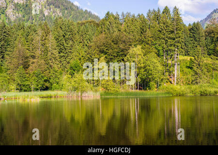 kleiner See in der Nähe von Oberstdorf, Bayern Stockfoto