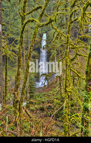 Silber fällt Staatspark, Oregon Stockfoto