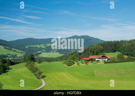 Schönbuch bin Högl Stockfoto