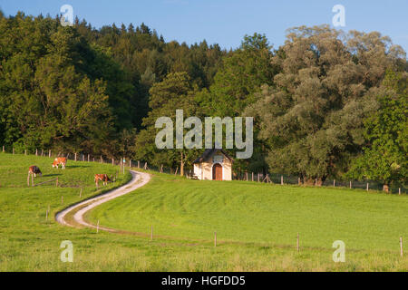 Kapelle in einer bayerischen Wiese Stockfoto