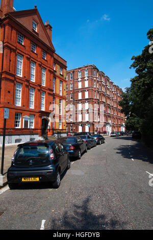 Cheyne Walk in London Stockfoto