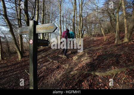 Fuß auf die Ridgeway, Hertfordshire, Treppenstufen. Stockfoto