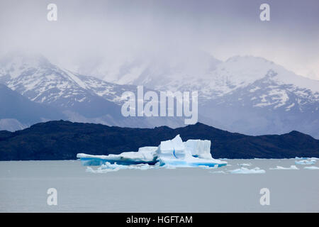 Eisberge am Lago Argentino, El Calafate, Parque Nacional Los Glaciares, Patagonien, Argentinien, Südamerika Stockfoto