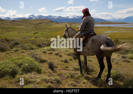 Gaucho auf Reiten mit Blick auf Estancia Alta Vista, El Calafate, Los Glaciares Nat Park, Anden, Patagonien, Argentinien Stockfoto