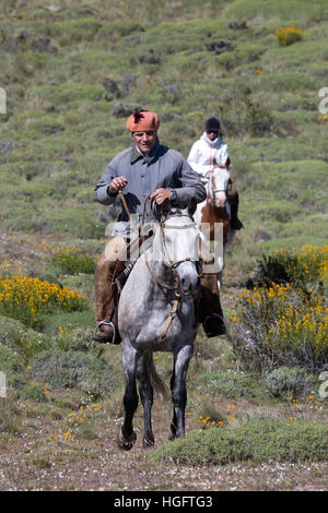 Gaucho-Reiseführer und touristische auf Pferd im Estancia Alta Vista, El Calafate, Parque Nacional Los Glaciares, Patagonien, Argentinien, Südamerika Stockfoto