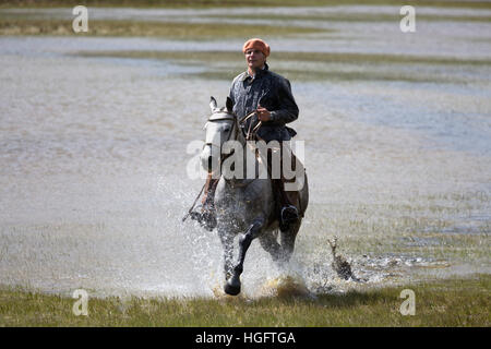 Gaucho auf Pferd im Galopp durch See bei Estancia Alta Vista, El Calafate, Parque Nacional Los Glaciares, Patagonien, Argentinien Stockfoto