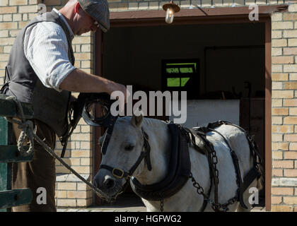 Shetland Pony Beamish Bergbaumuseum England UK UK Stockfoto