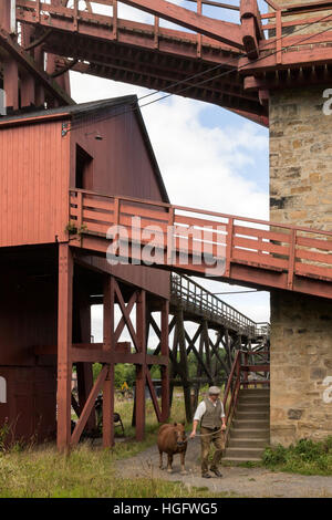 Shetland Pony Beamish Bergbaumuseum England UK UK Stockfoto