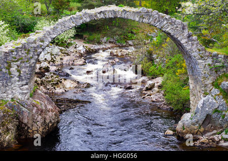 Carrbridge Lastesel Brücke nördlich von Aviemore, Schottland Stockfoto