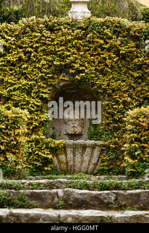 Frankreich, Alpes-Maritimes, Menton, Garten Serre De La Madone: Brunnen und Ficus Pumila Stockfoto