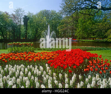 Keukenhof Gärten, Lisse, in der Nähe von Amsterdam, Holland Stockfoto