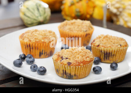 Kürbis-Muffins mit Preiselbeeren auf dem Teller Stockfoto