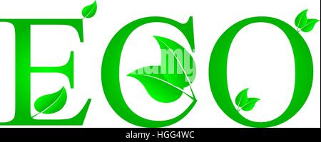 Lustration aus grünen Blättern mit Öko-Text auf weißem Hintergrund Stock Vektor