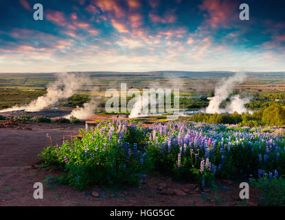 Der große Geysir Ausbruch liegt im Tal Haukadalur an den Hängen des Laugarfjall-Hügels. Foggu Sommermorgen in Island Stockfoto