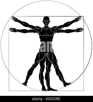 Eine Figur wie Leonard Da Vinci s Vitruvian Mann Anatomie Abbildung Stockfoto