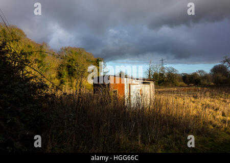 Zinn Wellblech Schuppen Hütte im Feld Stockfoto