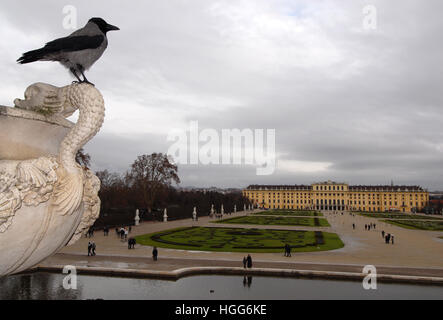 Mit Kapuze Krähe (Corvus Cornix) und Schloss Schönbrunn, Wien, Österreich Stockfoto