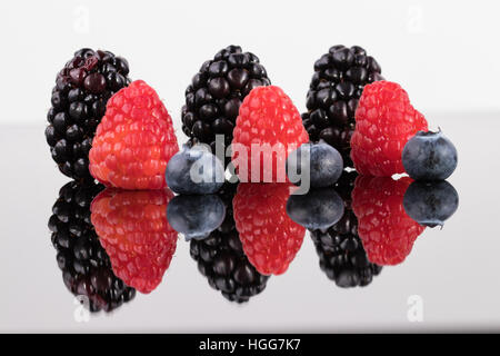 Brombeeren, Himbeeren und Heidelbeeren in Reihen Stockfoto