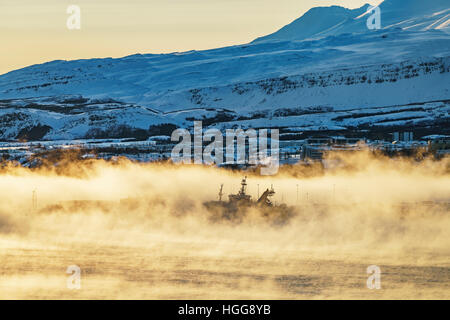 Nebel über Akureyri Hafen, Eyjafjordur, Akureyri, Nordisland Stockfoto