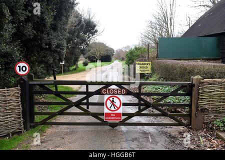 "Vogelgrippe" verursacht eine Reihe von Schwan Todesfälle bei "Abbotsbury Swannery" in Dorset, Großbritannien Stockfoto